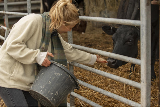 Feed Additives and Supplements Feed Additives and Supplements