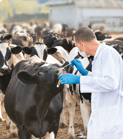 APIs FOR VETERINARY USE