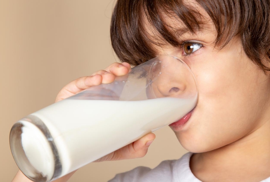 Safe additives for use in milk Safe additives for use in milk